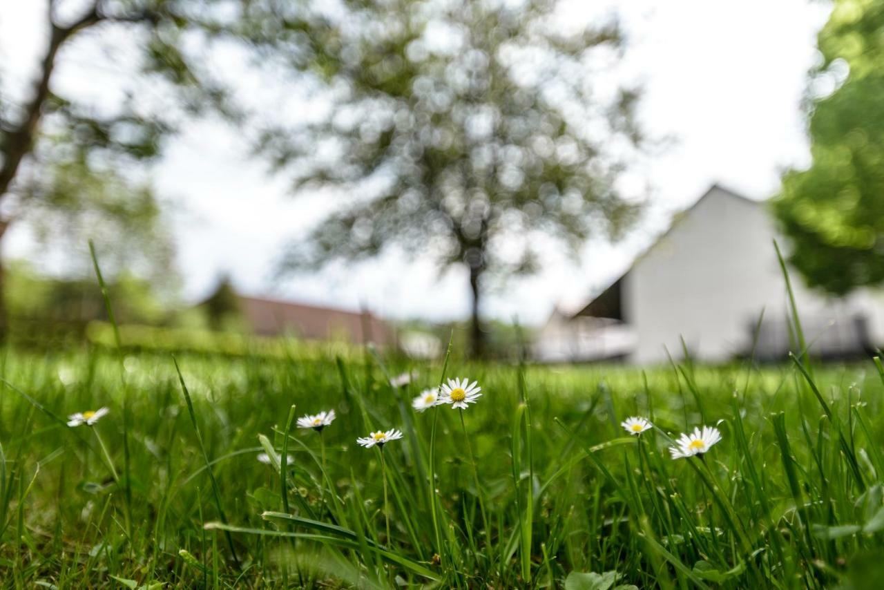Nengshof Ferienwohnung Wildrose Wißmannsdorf 외부 사진